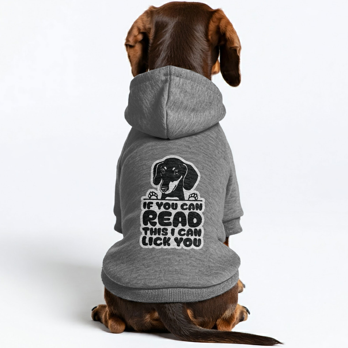 IF U CAN READ THIS - Personalized Dachshund Hoodies with Funny Quotes – Stylish, Cozy, and Premium 100% Cotton