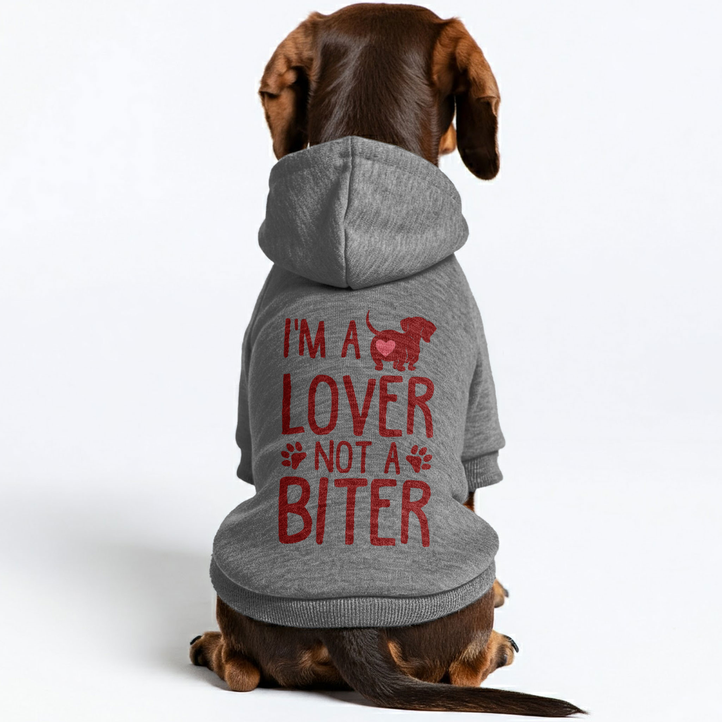 Im a Lover Not a Biter - Personalized Dachshund Hoodies with Funny Quotes – Stylish, Cozy, and Premium 100% Cotton