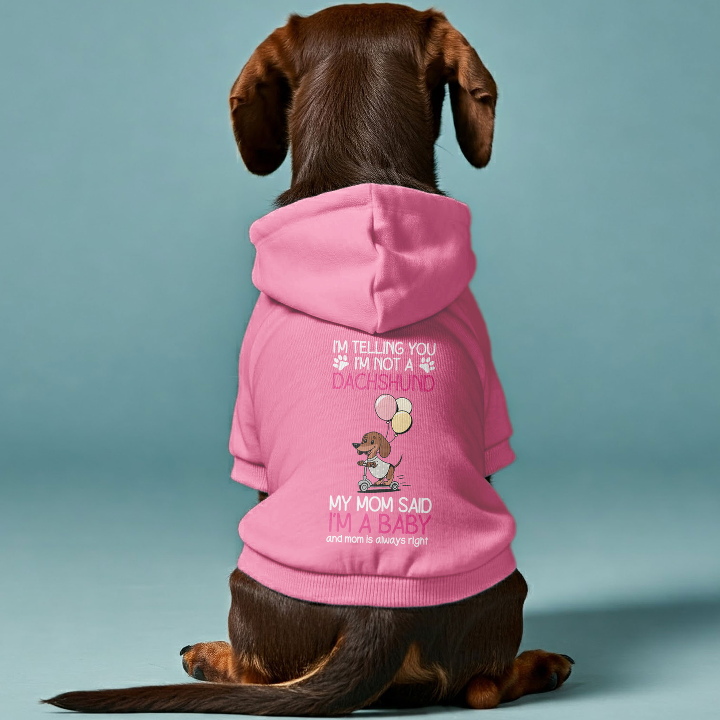 I’m a baby - Personalized Dachshund Hoodies with Funny Quotes – Stylish, Cozy, and Premium 100% Cotton