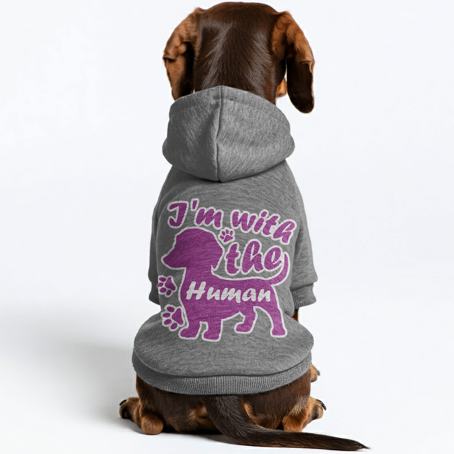 Im with Human - Personalized Dachshund Hoodies with Funny Quotes – Stylish, Cozy, and Premium 100% Cotton