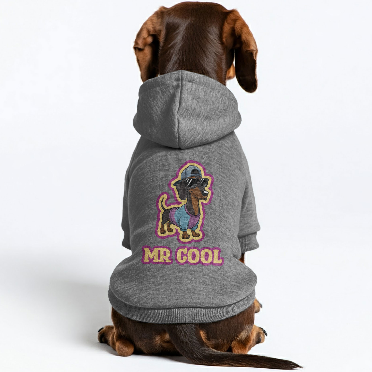 Mr COOL - Personalized Dachshund Hoodies with Funny Quotes – Stylish, Cozy, and Premium 100% Cotton