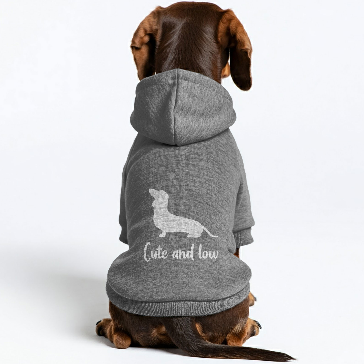 Cute and Low - Personalized Dachshund Hoodies with Funny Quotes – Stylish, Cozy, and Premium 100% Cotton