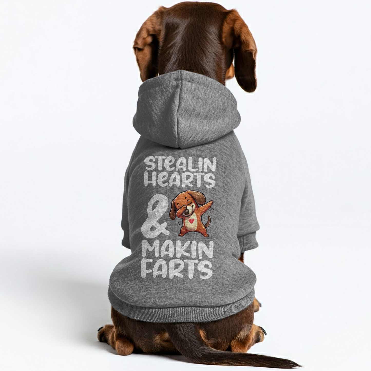 Leo - Personalized Dachshund Hoodies with Funny Quotes – Stylish, Cozy, and Premium 100% Cotton