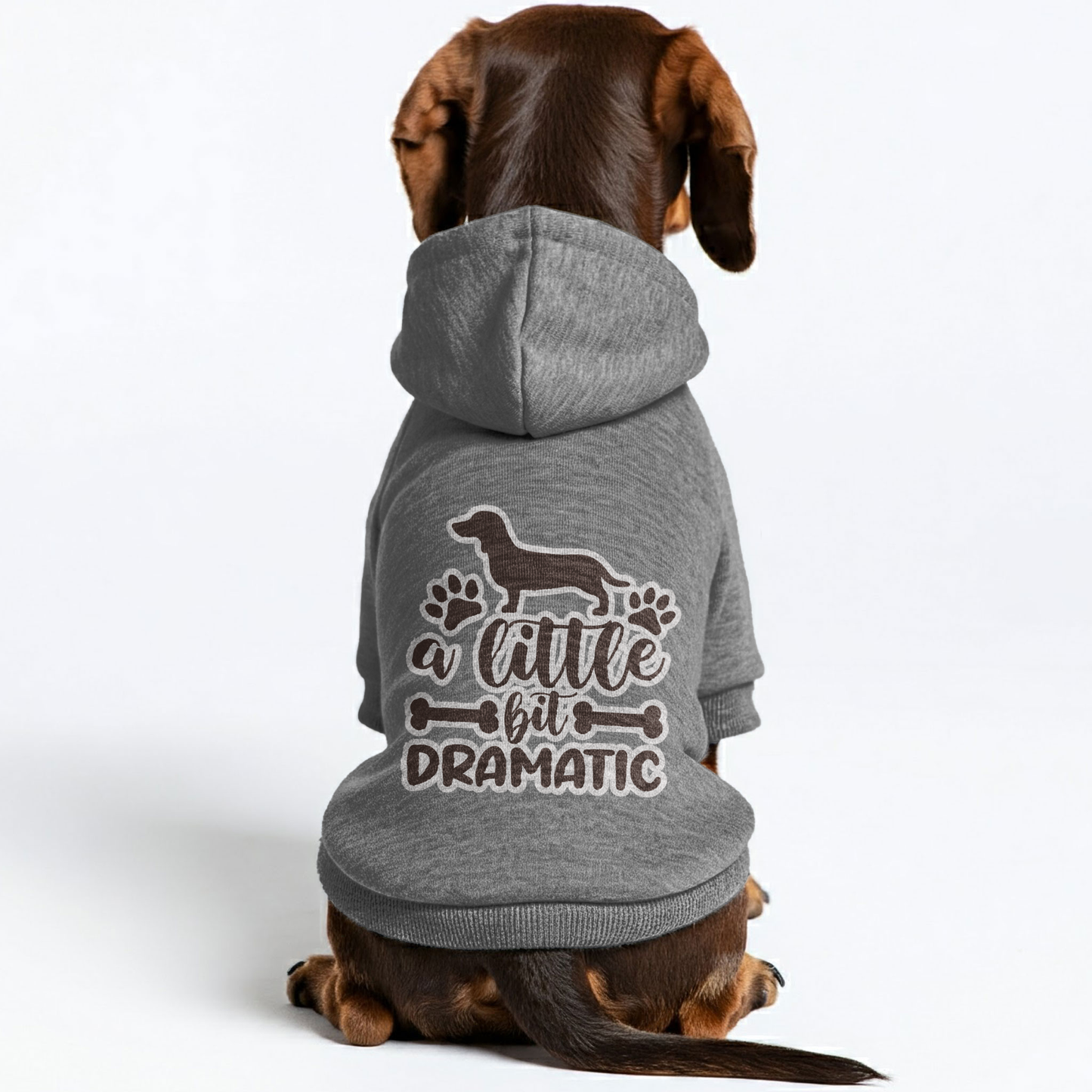 Little Bit Dramatic - Personalized Dachshund Hoodies with Funny Quotes – Stylish, Cozy, and Premium 100% Cotton