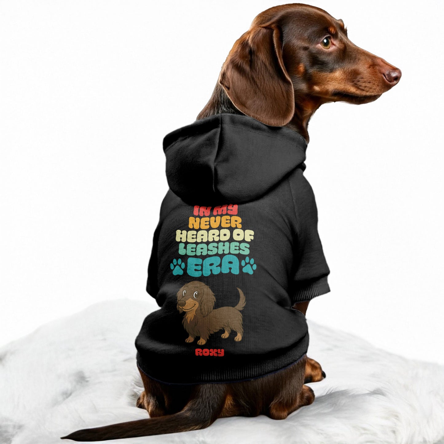 What leash– Personalized Dachshund Hoodies with Your Doxie’s Name & Clipart – Stylish, Cozy & Made from Premium 100% Cotton