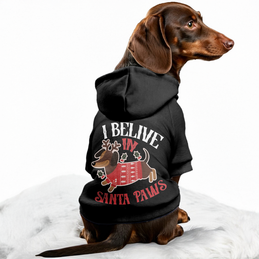 I BELIVE IN SANTA PAWS - Personalized Dachshund Hoodies with Funny Quotes – Stylish, Cozy, and Premium 100% Cotton