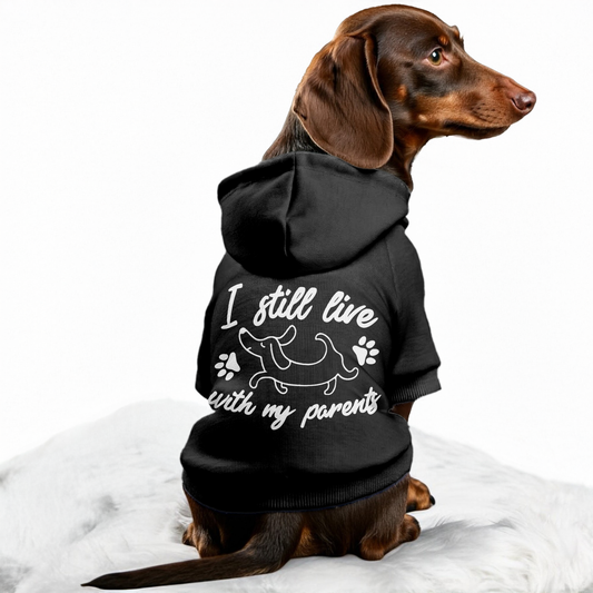 I STILL LIVE WITH MY PARENTS - Personalized Dachshund Hoodies with Funny Quotes – Stylish, Cozy, and Premium 100% Cotton