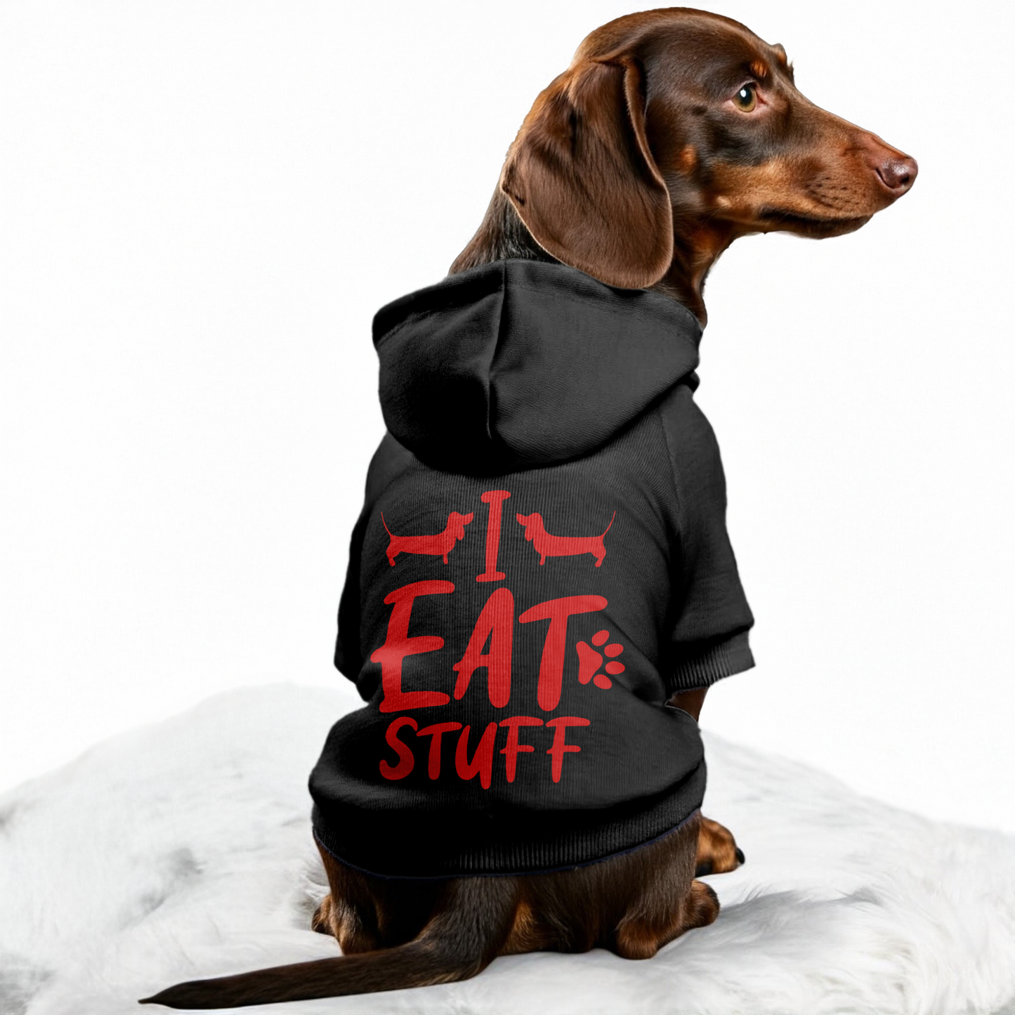 I EAT STUFF - Personalized Dachshund Hoodies with Funny Quotes – Stylish, Cozy, and Premium 100% Cotton