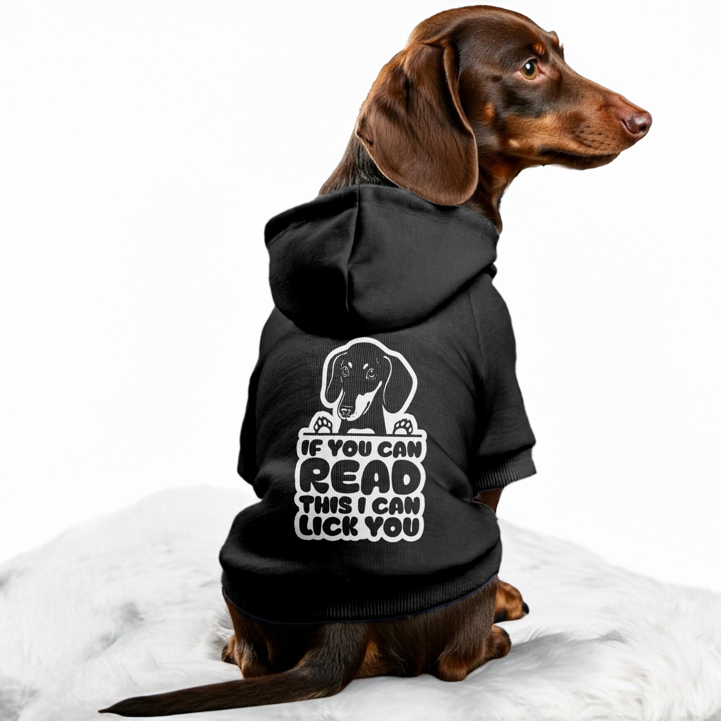 IF U CAN READ THIS - Personalized Dachshund Hoodies with Funny Quotes – Stylish, Cozy, and Premium 100% Cotton