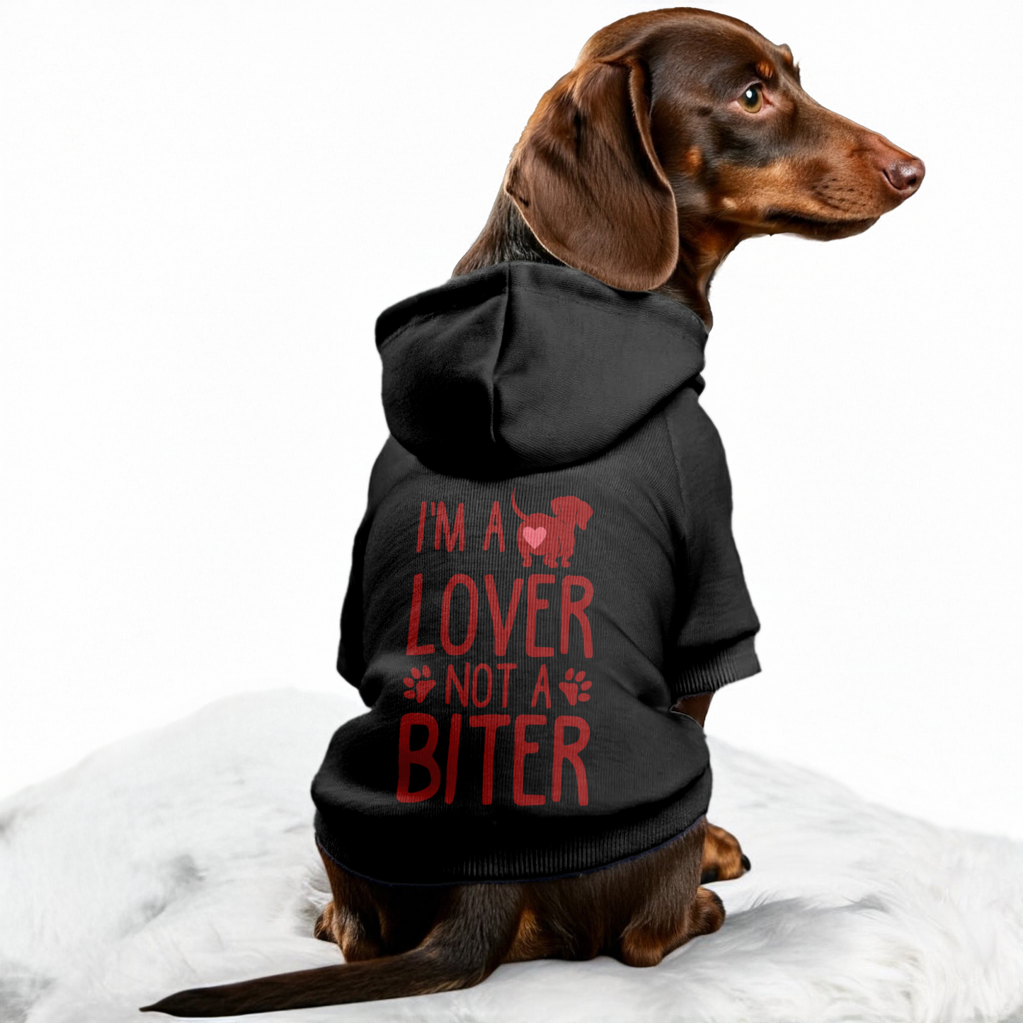 Im a Lover Not a Biter - Personalized Dachshund Hoodies with Funny Quotes – Stylish, Cozy, and Premium 100% Cotton