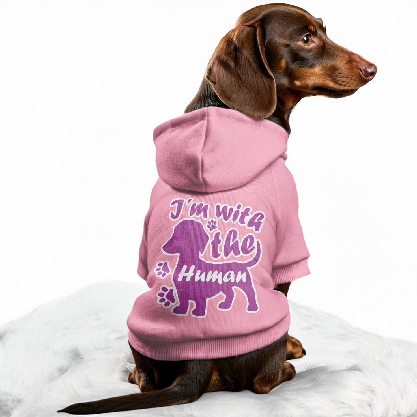 Im with Human - Personalized Dachshund Hoodies with Funny Quotes – Stylish, Cozy, and Premium 100% Cotton