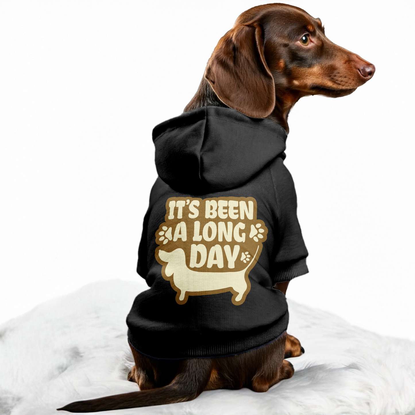 It’s Been A Long Day - Personalized Dachshund Hoodies with Funny Quotes – Stylish, Cozy, and Premium 100% Cotton