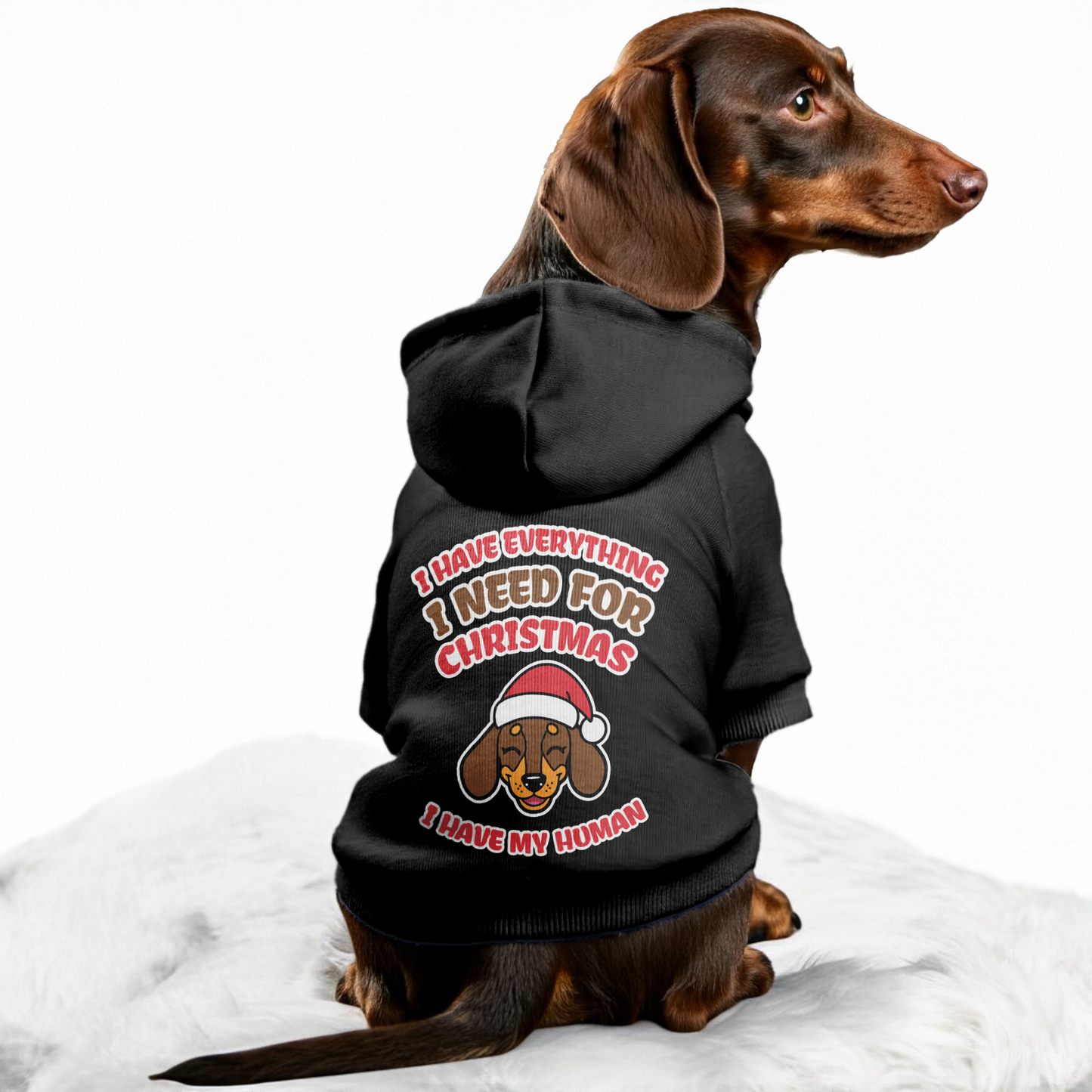 I Have My Human - Personalized Dachshund Hoodies with Funny Quotes – Stylish, Cozy, and Premium 100% Cotton