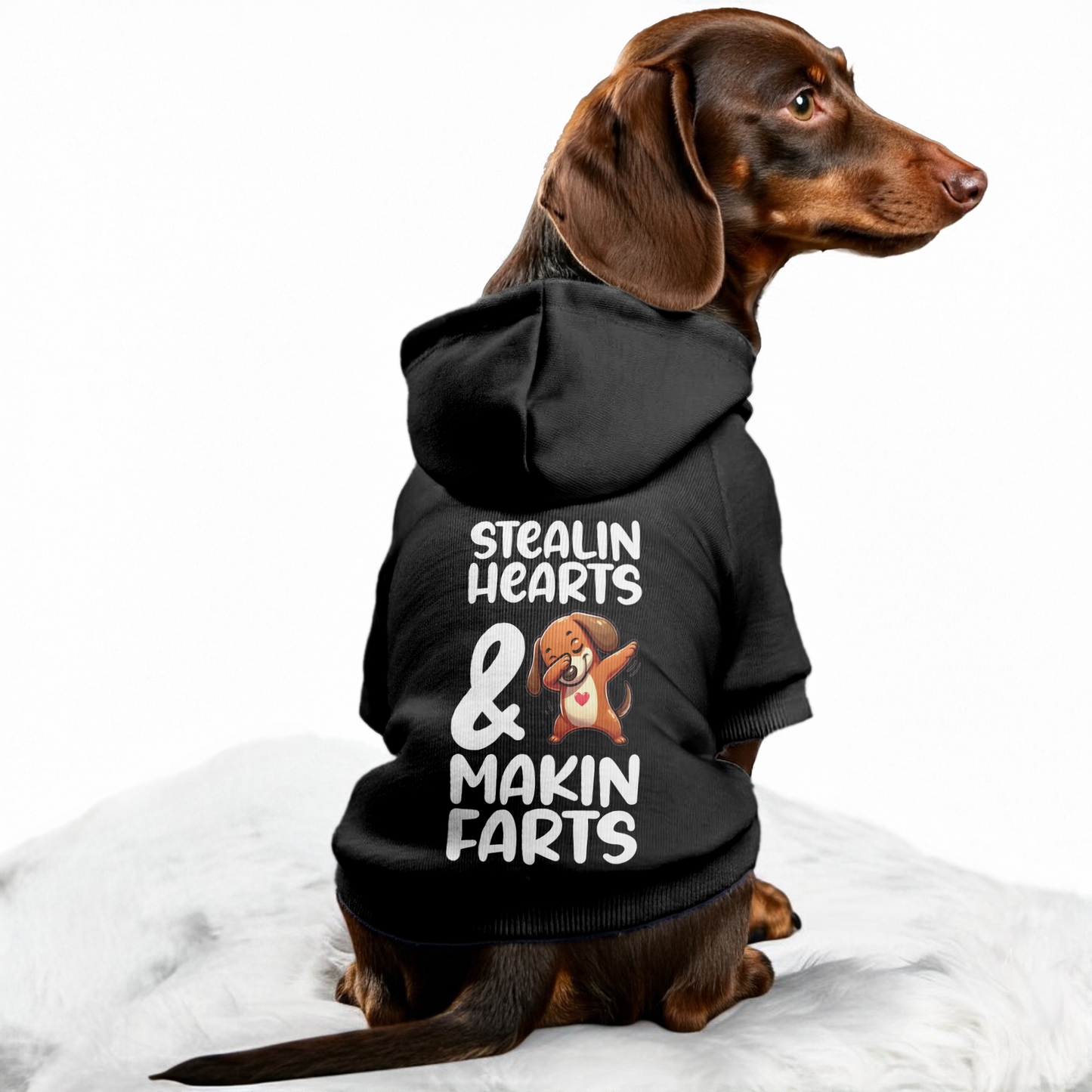 Leo - Personalized Dachshund Hoodies with Funny Quotes – Stylish, Cozy, and Premium 100% Cotton