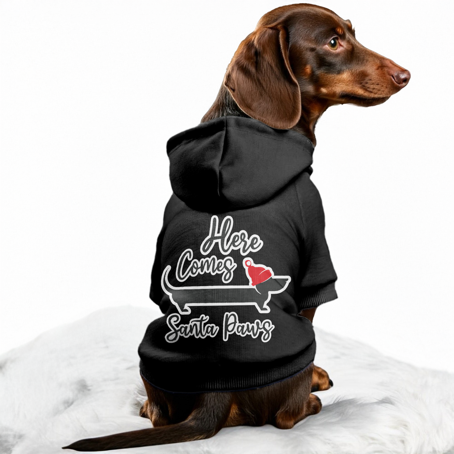 Santa Paws - Personalized Dachshund Hoodies with Funny Quotes – Stylish, Cozy, and Premium 100% Cotton