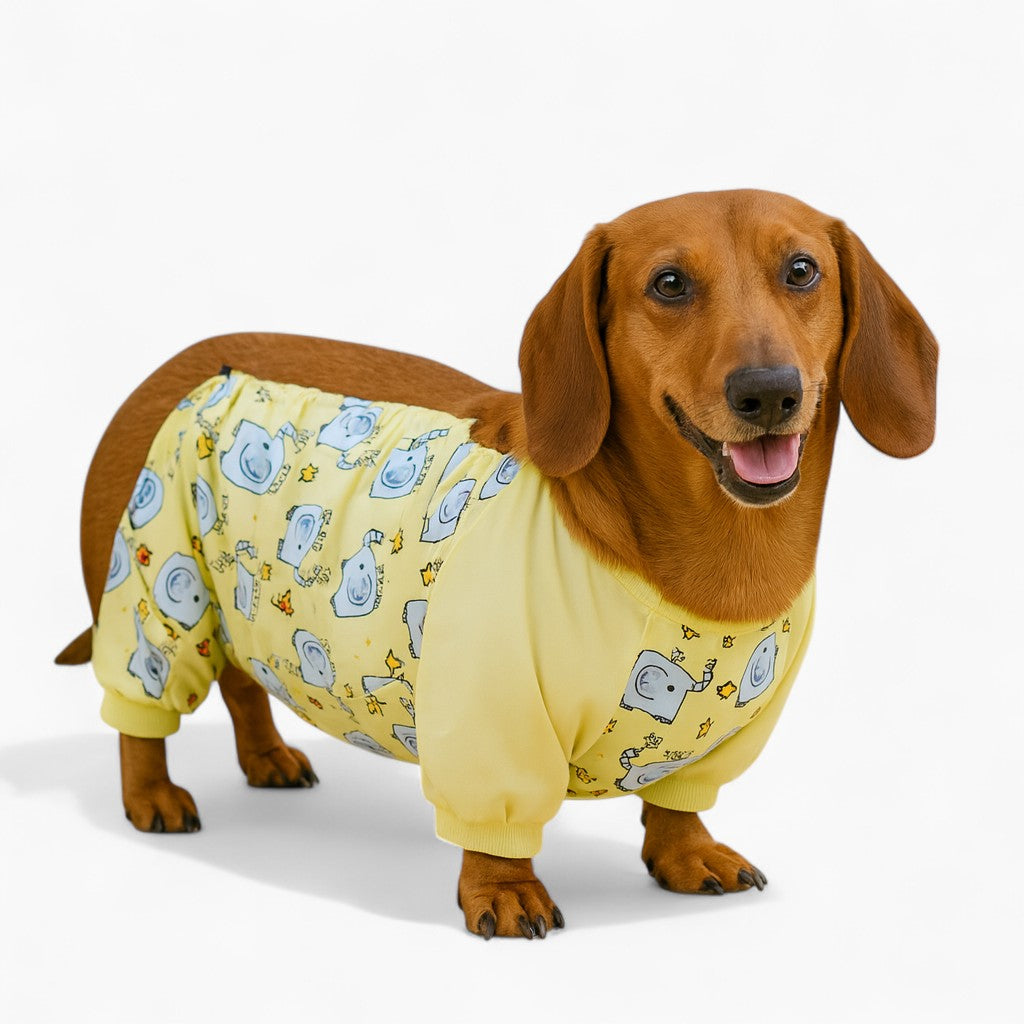 PawCuddle-Dachshund-Bellyband-Raincoat.jpg