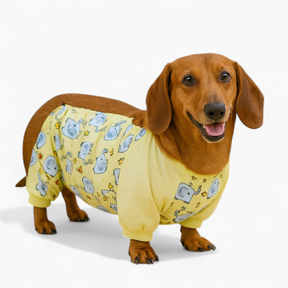 PawCuddle-Dachshund-Bellyband-Raincoat.jpg