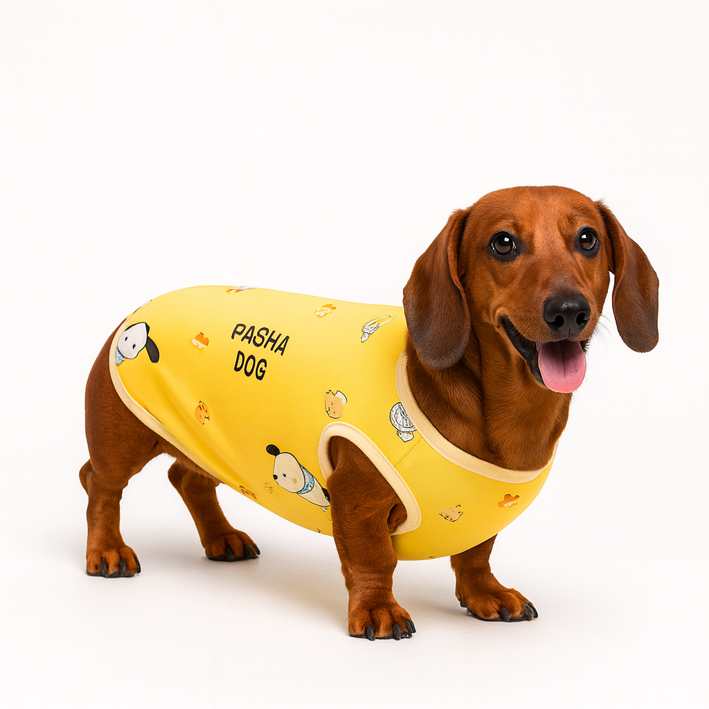 PawCuddle-Dachshund-Bellyband-Raincoat.jpg