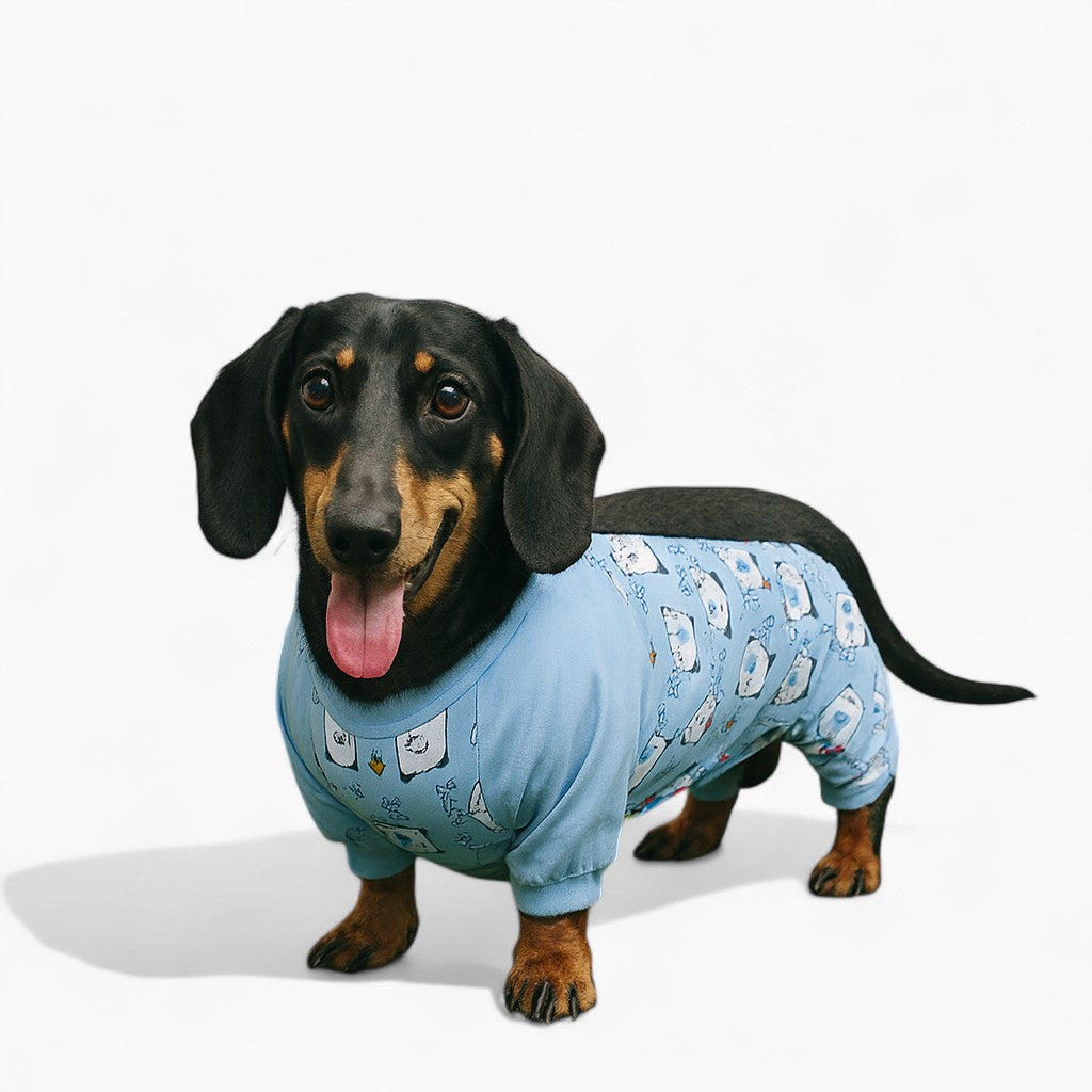 PawCuddle-Dachshund-Bellyband-Raincoat.jpg