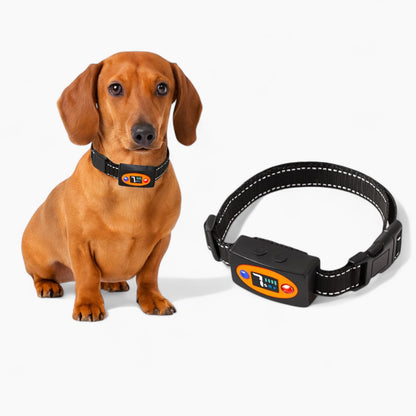 PawGuard-Dachshund-Bark-Control-Collar.jpg
