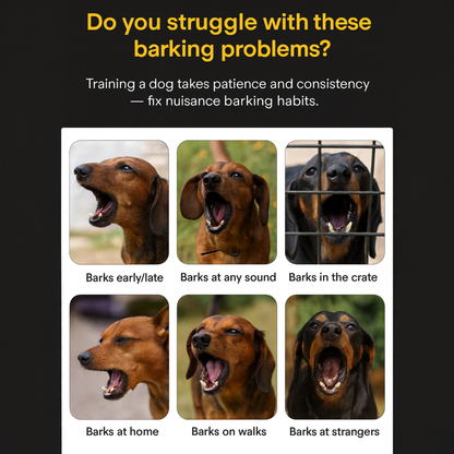 PawGuard-Dachshund-Bark-Control-Collar.jpg