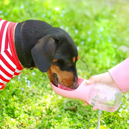 PawHydro-Dachshund-Water-Bottle.jpg