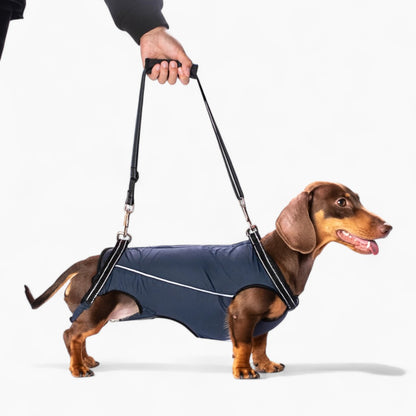 PawLift-Dachshund-Assist-Belt.jpg
