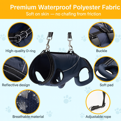 PawLift-Dachshund-Assist-Belt.jpg