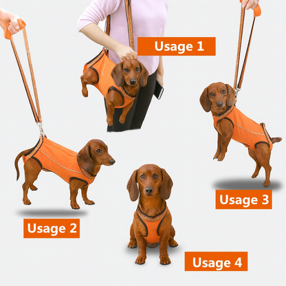PawLift-Dachshund-Assist-Belt.jpg