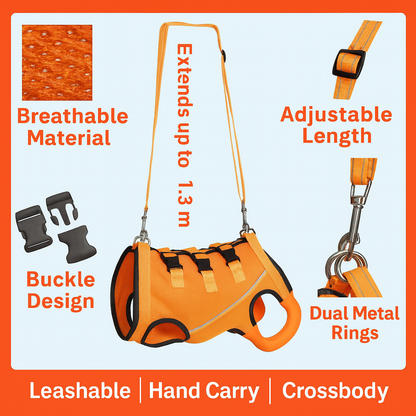 PawLift-Dachshund-Assist-Belt.jpg