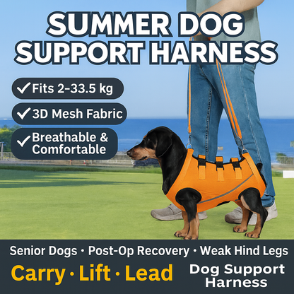 PawLift-Dachshund-Assist-Belt.jpg