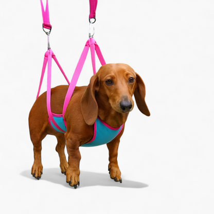 PawLift™-Dachshund-Nail-Trimming-Hammock.jpg