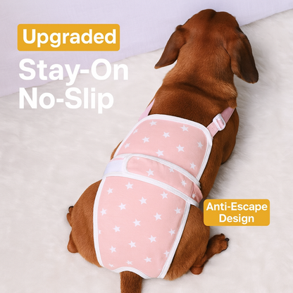 PawLuxe-Dachshund-Heat-Pants.jpg