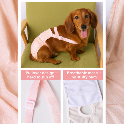 PawLuxe-Dachshund-Heat-Pants.jpg