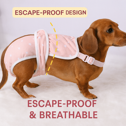 PawLuxe-Dachshund-Heat-Pants.jpg