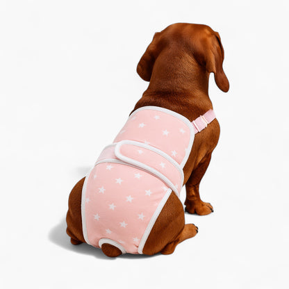PawLuxe-Dachshund-Heat-Pants.jpg