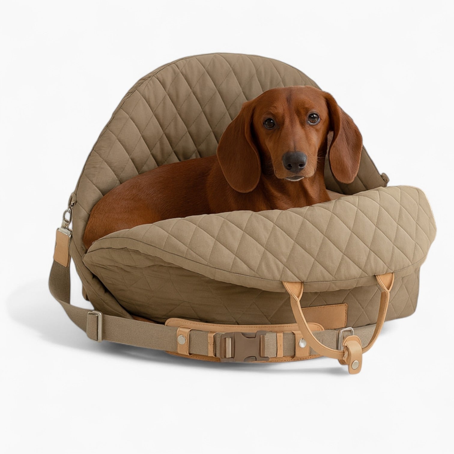 PawNest-Dachshund-Foldable-Carrier.jpg