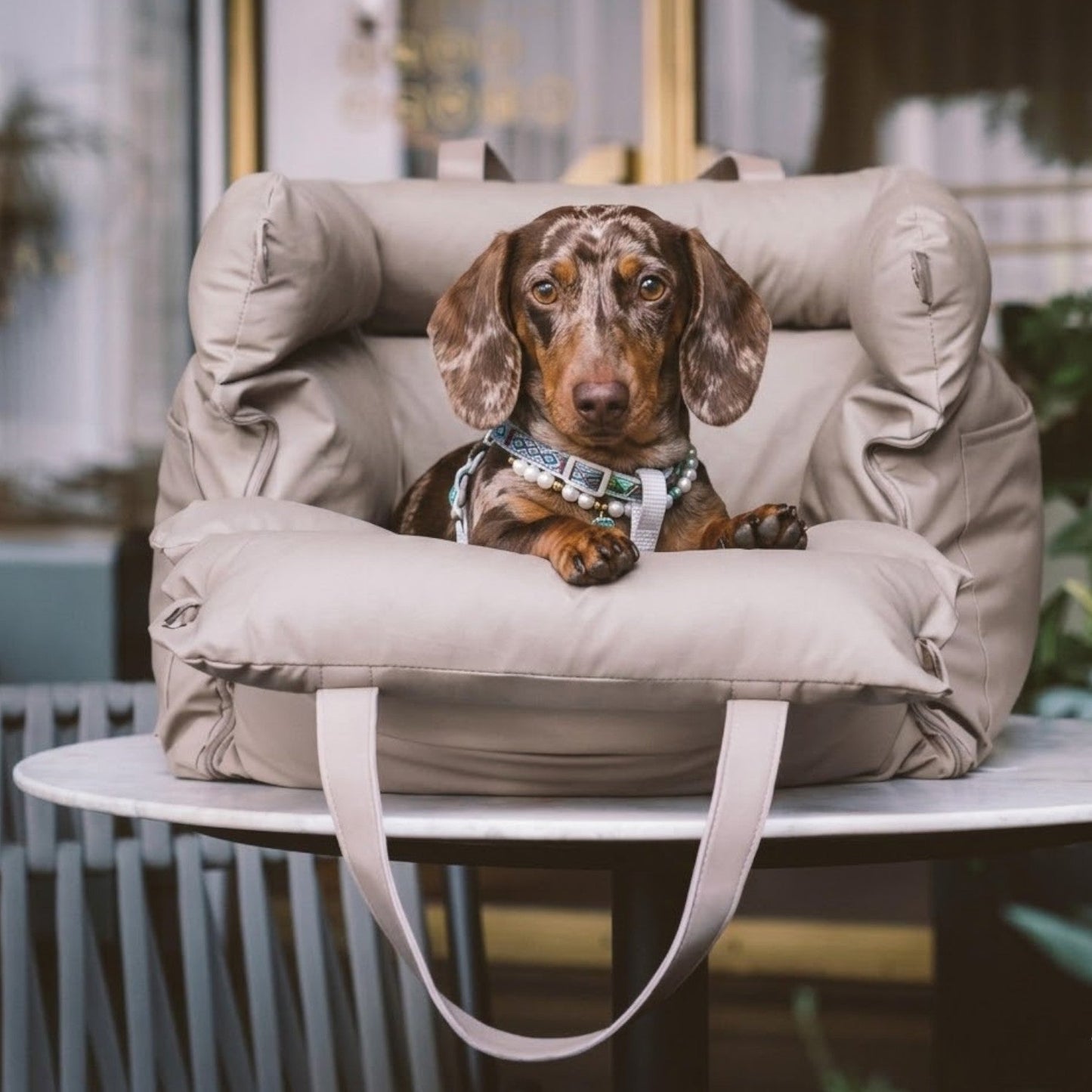 PawNest-Dachshund-Portable-Car-Seat.jpg