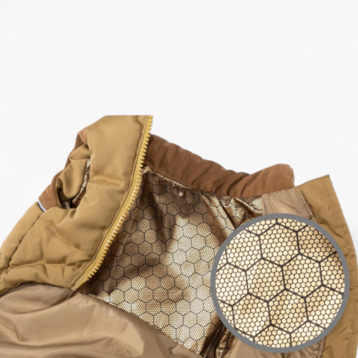 PawNordic-Dachshund-Down-Jacket.jpg