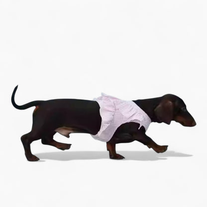 PawPet-Dachshund-Lace-Ruffle-Harness.jpg