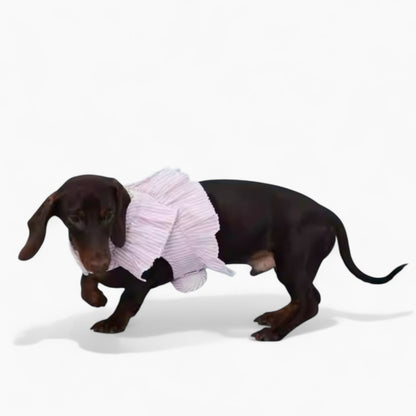 PawPet-Dachshund-Lace-Ruffle-Harness.jpg