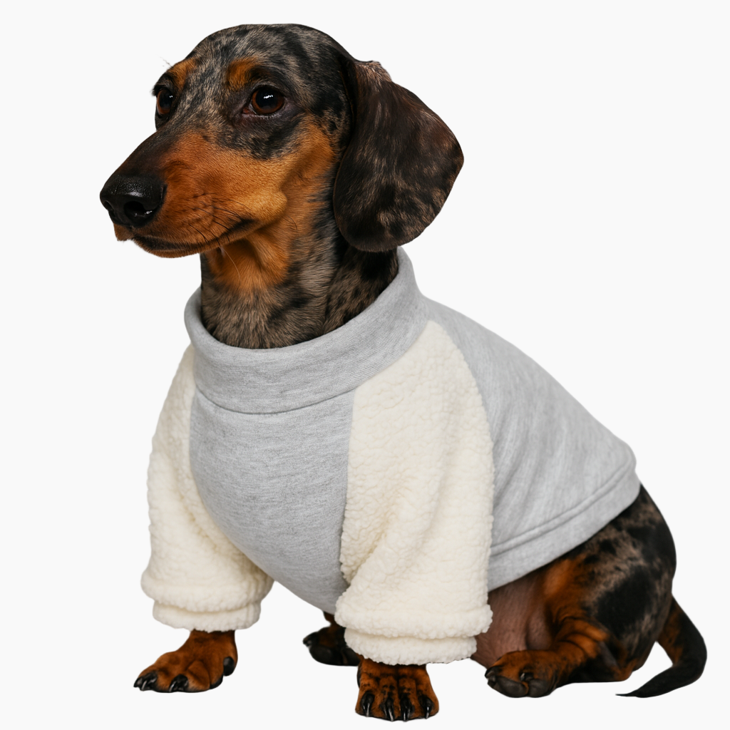 PawSport-Dachshund-Varsity-Sweatshirt.jpg
