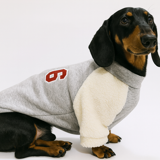 PawSport-Dachshund-Varsity-Sweatshirt.jpg