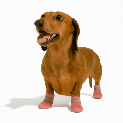 PawTrek-Dachshund-Outdoor-Boots.jpg