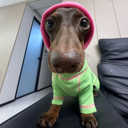 PawVibe-Dachshund-Sweatshirt.jpg