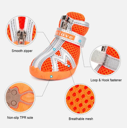 Pawlox-Dachshund-Mesh-Shoes.jpg