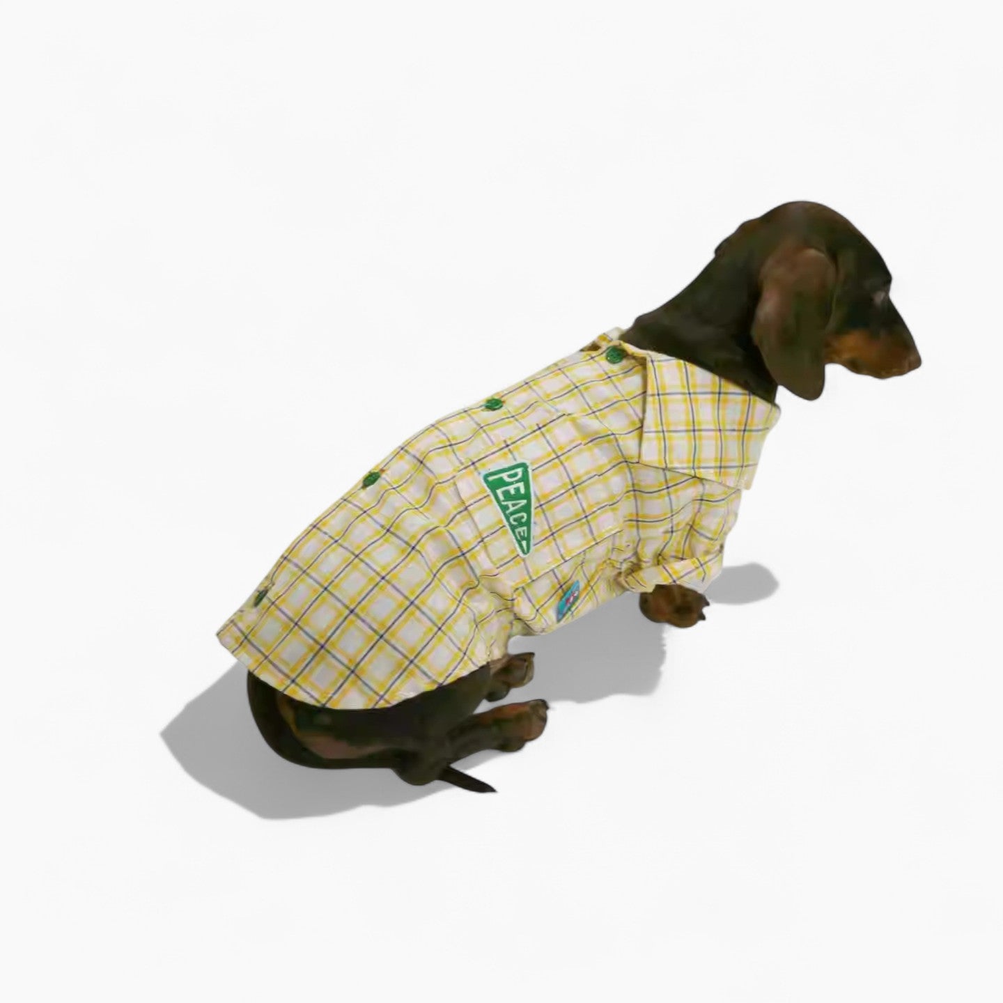 Pawplaid-Dachshund-Plaid-Shirt.jpg