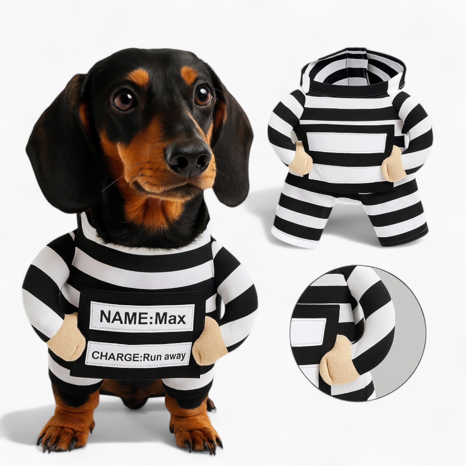 Pawsh-Dachshund-Prisoner-Costume.jpg
