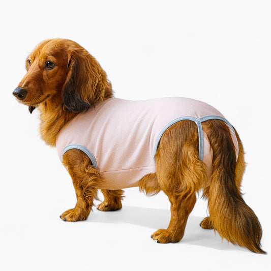 Pawvera-Dachshund-Female-Pants.jpg