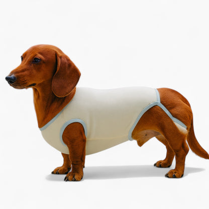 Pawvera-Dachshund-Female-Pants.jpg